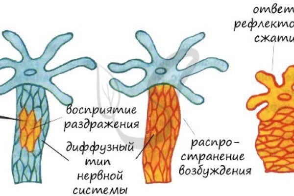 Официальный сайт kraken ссылки зеркала