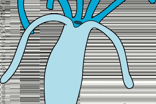 Ссылка на сайт гидра в тор браузере