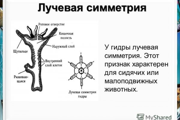 Кракена точка нет