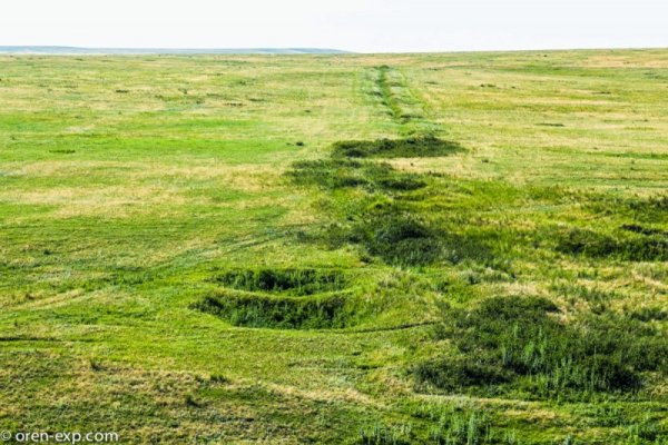 Кракен маркетплейс в питере